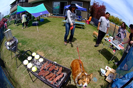 DSCF5423