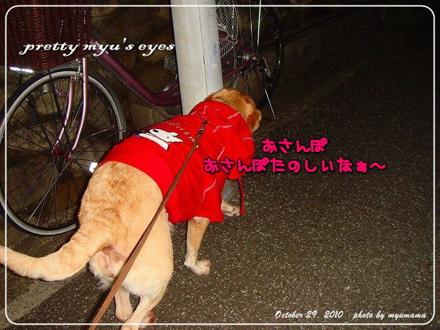 s-012 s-012