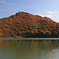 山の上の潟沼