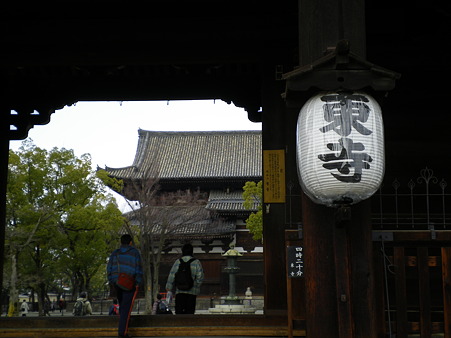 IMGP3926