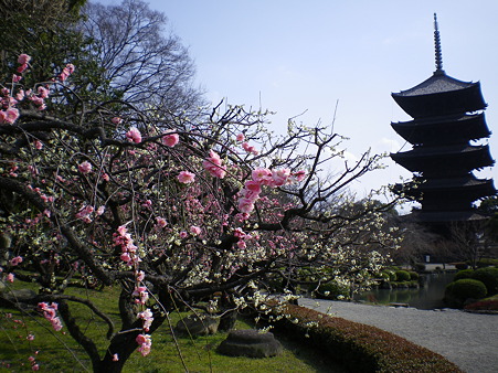 IMGP3936