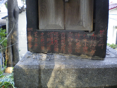 IMGP3983