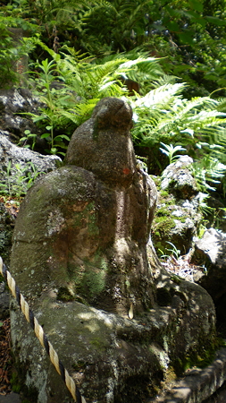 IMGP5405