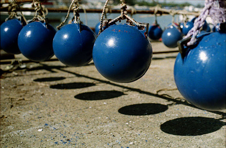 Image1312（PENTAX SP）