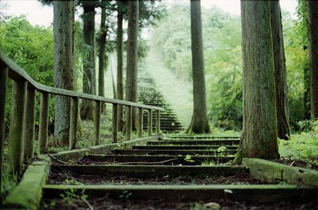 Image1330（YASHICA FRI）
