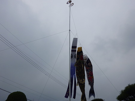 P1000469