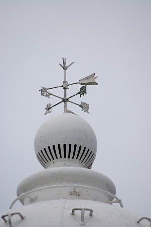 IMGP8877