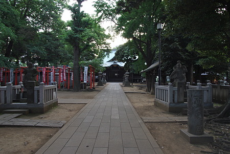 IMGP9582