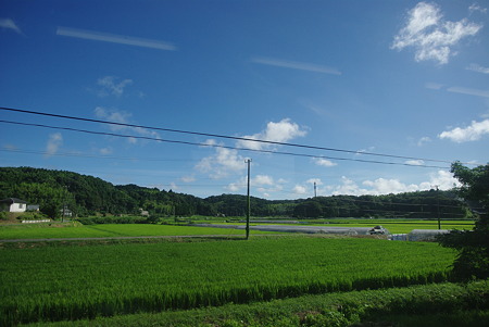 IMGP1168