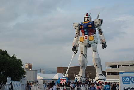 IMGP2584