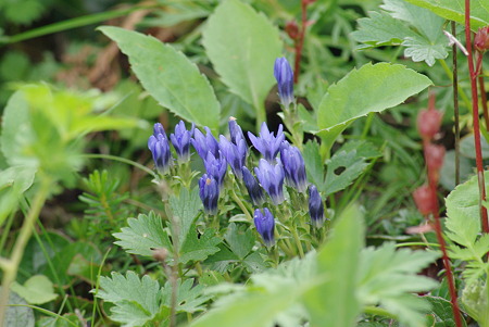 IMGP4182
