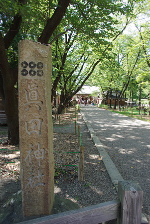 IMGP4927