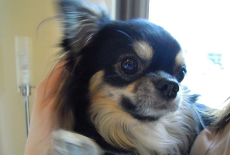 DSCN0536