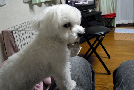 DSCN1408