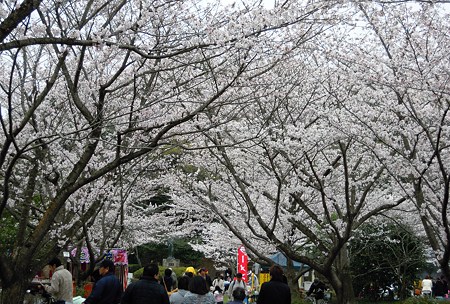 DSCN1371