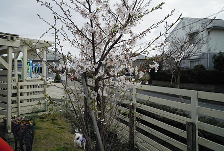DSCN1475