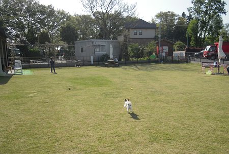 DSCN2035