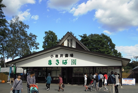 DSCN4696