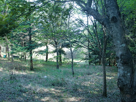 秘密基地付近