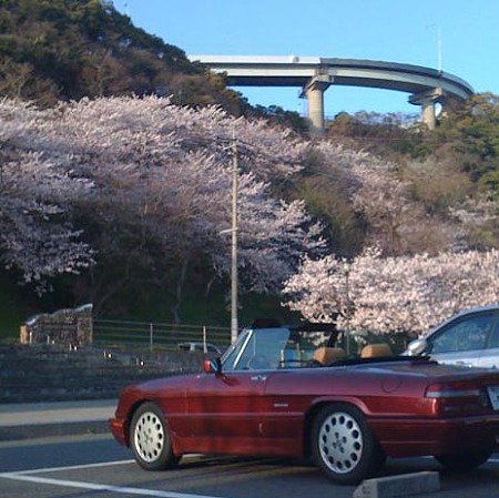 spa_800_edited