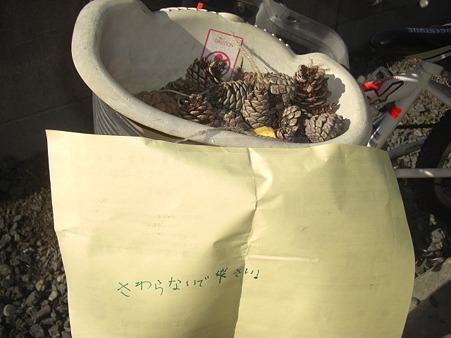お触り厳禁