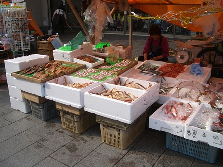 能登半島2010 109