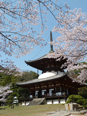根来寺2011 011
