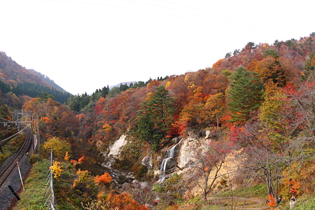 面白山紅葉川渓谷　藤花の滝