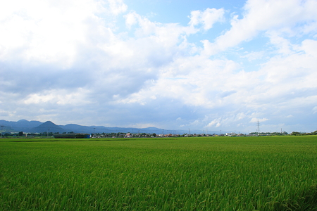 片谷地付近