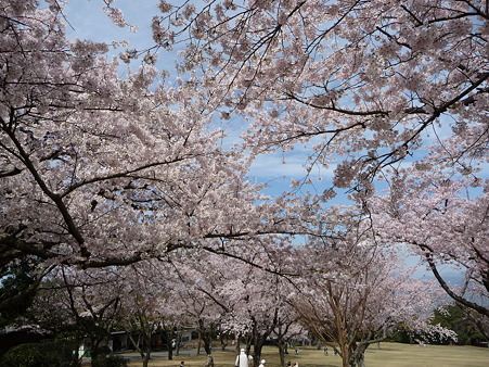100403-日本平ホテル (29)
