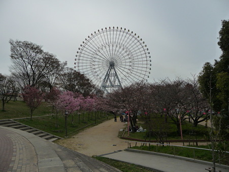 100331-天保山公園 (9)