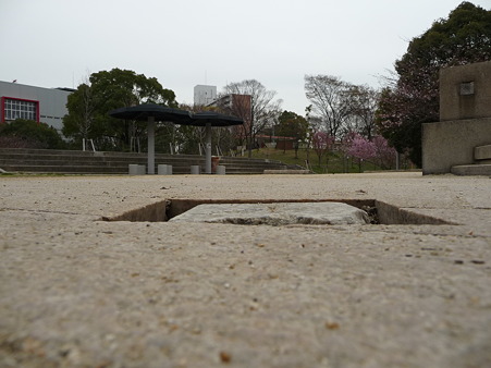 100331-天保山公園 (10)