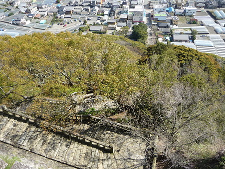 100403-久能山 (140)