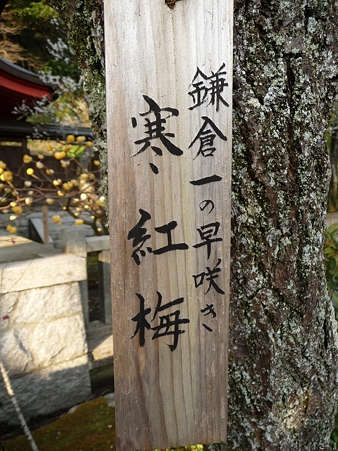 110308-荏柄天神 (14)
