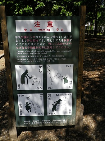 20100508奈良公園2