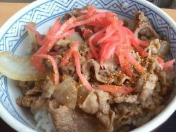 吉野家牛丼並盛1