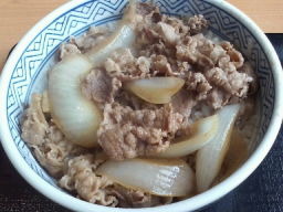 吉野家牛丼並盛2