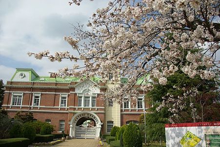 桜(5)