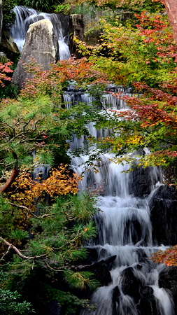 三段の滝 with シグマ100-300mm F4 EX DG HSM