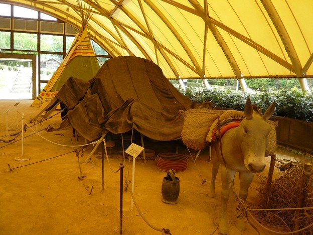 P1140124テント村