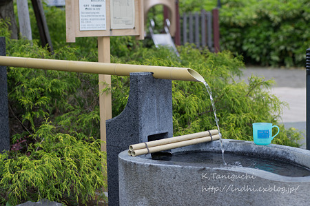 わき水(井戸) NEX-5 FD28F2.8