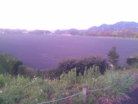SBSH0912