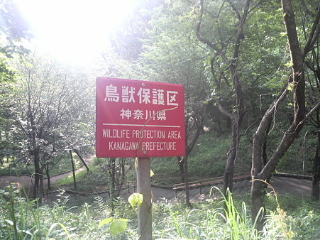 P1000483