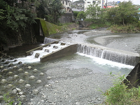 P1000912