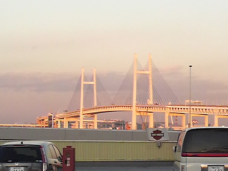 P1001069