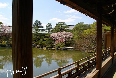 橋殿から見た風景・・