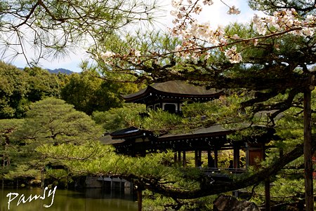 松と橋殿・・栖鳳池 (セイホウイケ) にて・・4