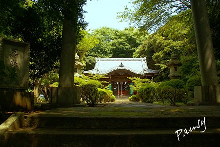 杜のなかの神社・・