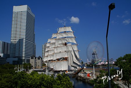 総帆展帆のにっぽん丸と・・青空と・・