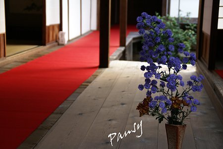泉涌寺別院 雲龍院・・22